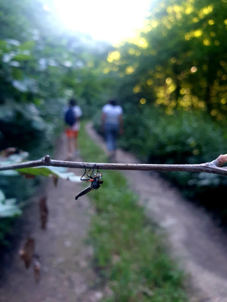 Izlet: Bešnjaja (Kragujevac)