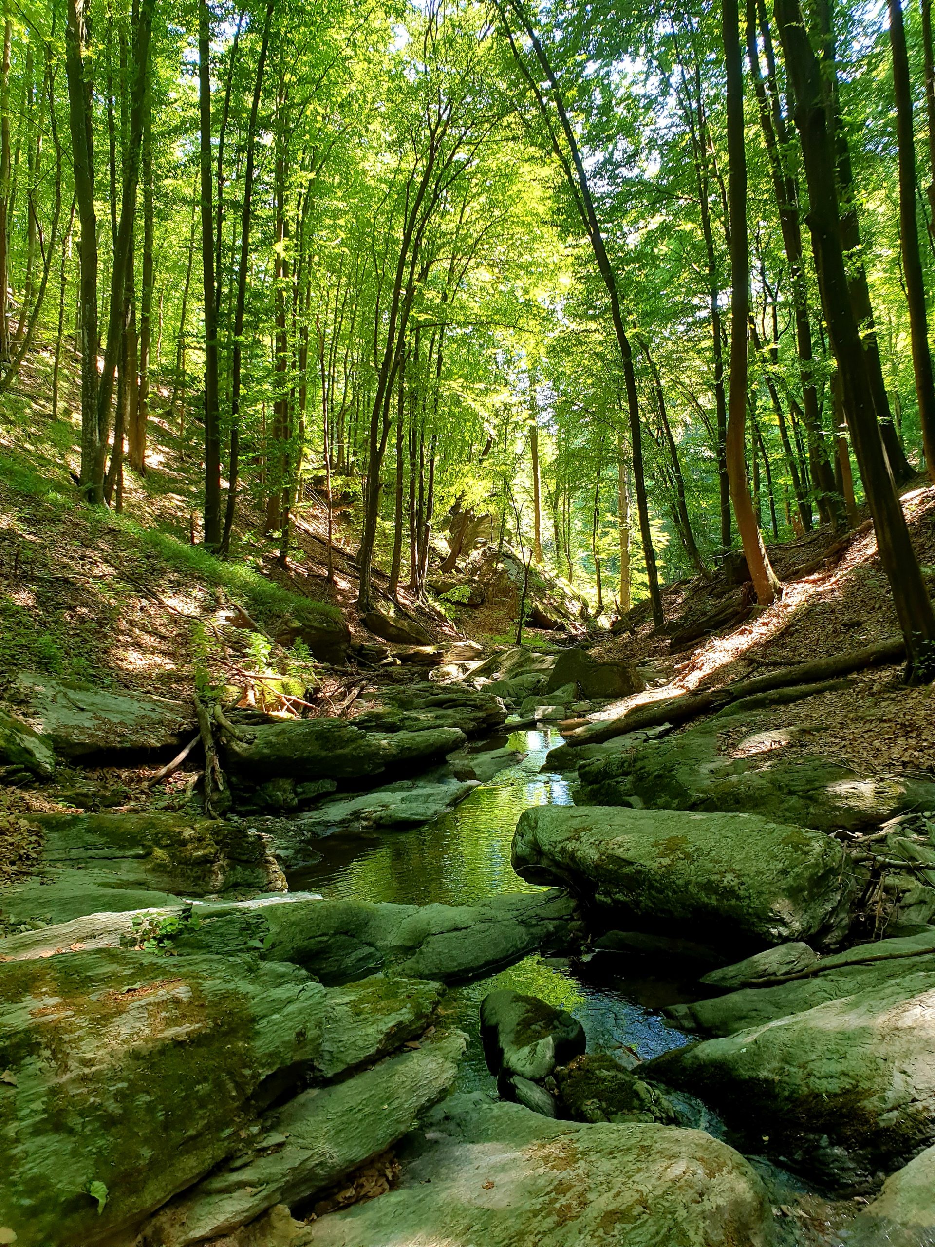 Izlet: Bešnjaja (Kragujevac)